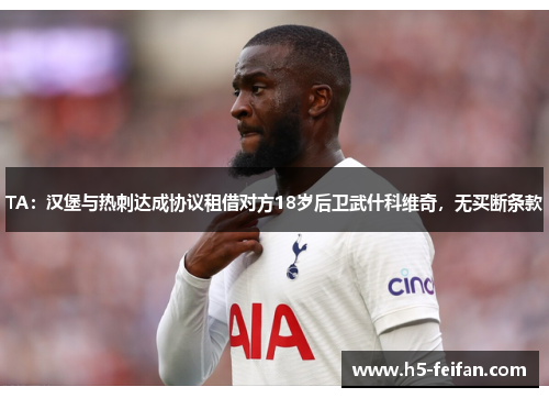 TA：汉堡与热刺达成协议租借对方18岁后卫武什科维奇，无买断条款